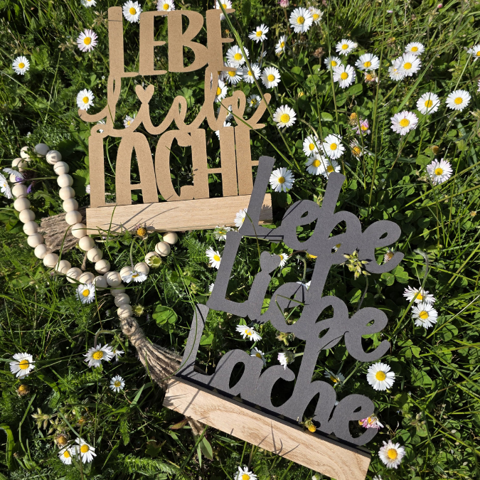 SVG Laserdatei 4er Klötzchenschrift Lebe Liebe Lache Easysticks Klötzchen SVG Datei – Bild 11