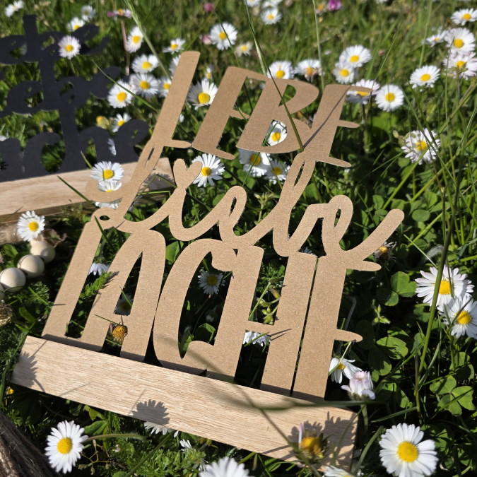 SVG Laserdatei 4er Klötzchenschrift Lebe Liebe Lache Easysticks Klötzchen SVG Datei – Bild 12