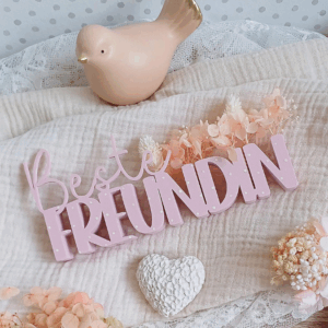 STL 3D Druck Datei Schriftzüge Beste Freundin Soul Mate Herzmensch 6er Set mit und ohne Löcher für Blumen 3D-Datei