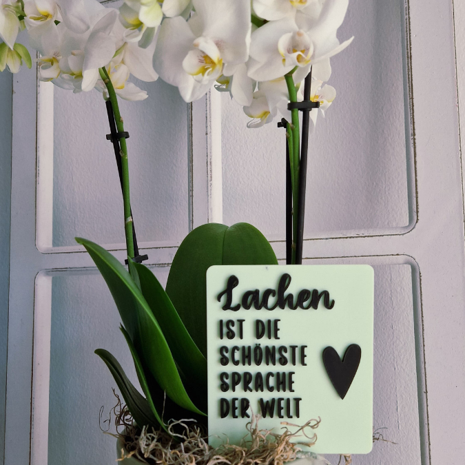 STL 3D Druck Datei Statement Aufsteller positive quotes Sprüche Karten Einschieber mit 3 verschiedenen Ständern 3D-Datei – Bild 15