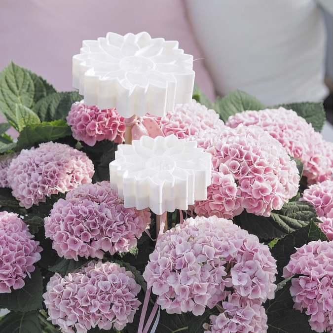STL 3D Druck Datei Insektentränke Blume in 2 Größen jeweils für 8mm und 10mm Stäbe Bienentränke Schmetterlingtränke Garten Beet Blumentopf 3D-Druck Datei – Bild 7