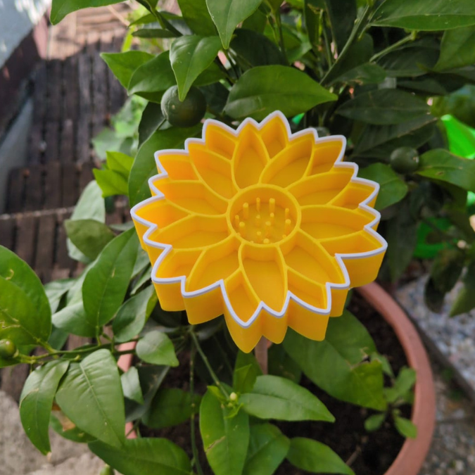 STL 3D Druck Datei Insektentränke Blume in 2 Größen jeweils für 8mm und 10mm Stäbe Bienentränke Schmetterlingtränke Garten Beet Blumentopf 3D-Druck Datei – Bild 12
