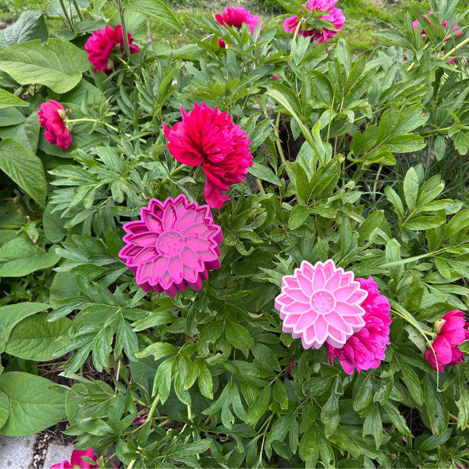 STL 3D Druck Datei Insektentränke Blume in 2 Größen jeweils für 8mm und 10mm Stäbe Bienentränke Schmetterlingtränke Garten Beet Blumentopf 3D-Druck Datei – Bild 22
