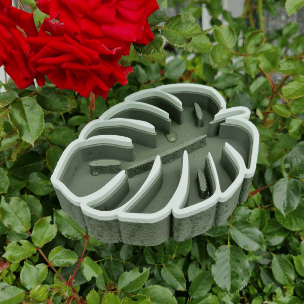 STL 3D Druck Datei Insektentränke Monstera Blatt für 8mm & 10mm Stäbe Bienentränke Schmetterlingtränke Garten Blumentopf Bambu Sommer – Bild 8