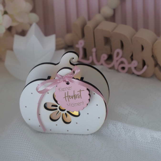 SVG Laser Herbst Datei Minis für Lichtkugeln LED Licht Igel Kürbis Boho Skandi Herbstin der Tüte geschenkidee Laserdatei SVG Datei – Bild 22