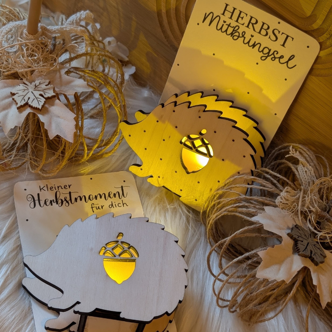 SVG Laser Herbst Datei Minis für Lichtkugeln LED Licht Igel Kürbis Boho Skandi Herbstin der Tüte geschenkidee Laserdatei SVG Datei – Bild 13