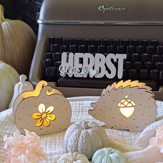 SVG Laser Herbst Datei Minis für Lichtkugeln LED Licht Igel Kürbis Boho Skandi Herbstin der Tüte geschenkidee Laserdatei SVG Datei – Bild 16