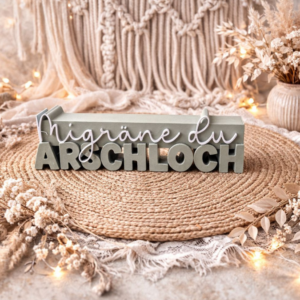 STL 3D Druck Datei Schriftzug Statement "Migräne du Arschloch"  3D-Druck Datei Quote Kopfweh Kopfschmerzen Aufsteller humor