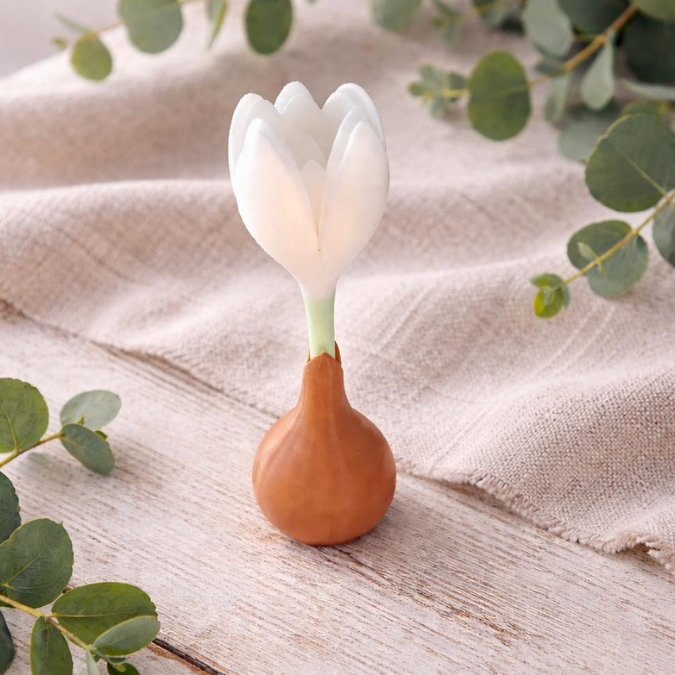 3MF 3D Druck Datei für Bambu Frühling Krokus Krokuszwiebel Krokusknolle Frühlingsdeko 3D-Datei 3DDruck Vorlage Frühlingsblumen Blumenzwiebel – Bild 4
