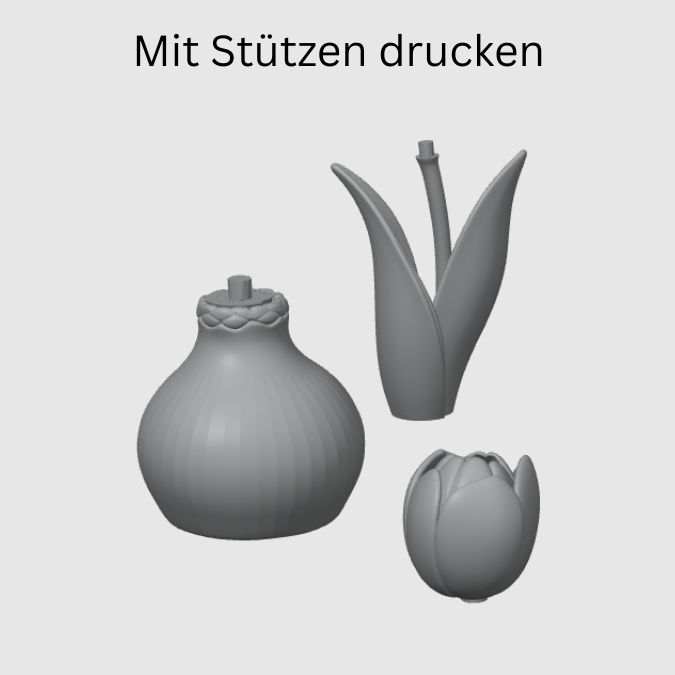 3MF 3D Druck Datei für Bambu Frühling Tulpe Tulpenzwiebel Tulpenknolle Frühlingsdeko 3D-Datei 3D-Druck Vorlage Frühlingsblumen Blumenzwiebel – Bild 2