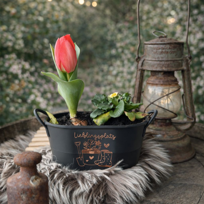 STL 3D Druck Datei Pflanzwanne Pflanzgefäß Dekoschale Wanne dekowanne Gartentisch Outdoor Shabby 3D-Druck Datei – Bild 6
