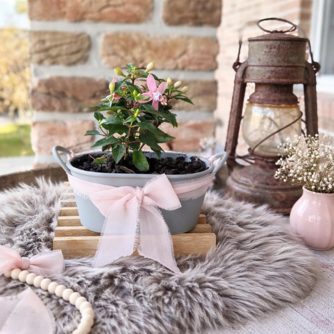 STL 3D Druck Datei Pflanzwanne Pflanzgefäß Dekoschale Wanne dekowanne Gartentisch Outdoor Shabby 3D-Druck Datei – Bild 4