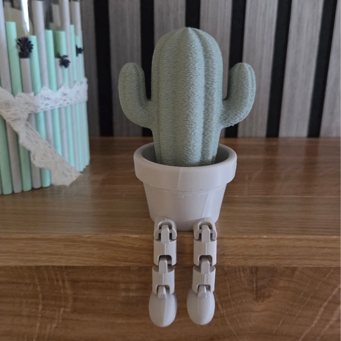 3Mf 3D Druck Datei 2er Set Wackelbeine Kakteen cute boho Deko Frühstück Kaktus mit Beinen Deko 3D-Druck kawaii – Bild 11