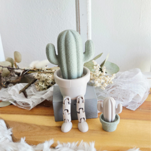 3Mf 3D Druck Datei 2er Set Wackelbeine Kakteen cute boho Deko Frühstück Kaktus mit Beinen Deko 3D-Druck kawaii